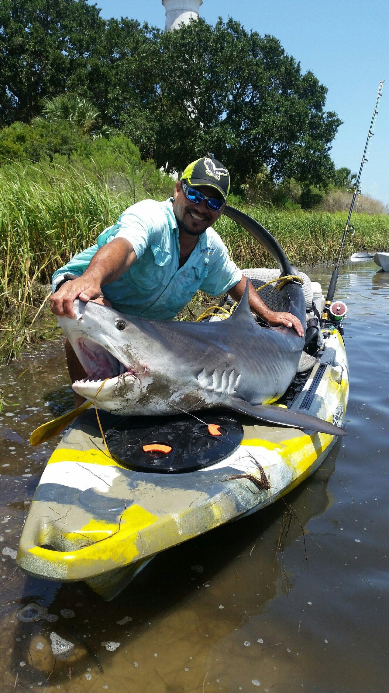 Kayak angler with a shark catch in coastal marsh waters